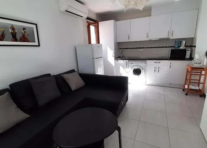 公寓 Pink 托雷维耶哈