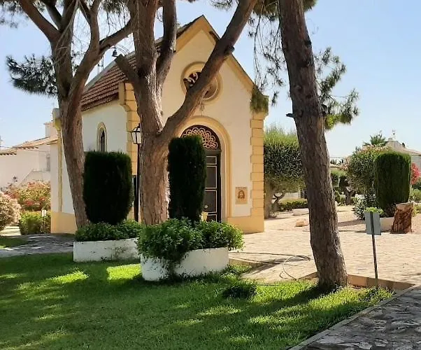 Pink 托雷维耶哈